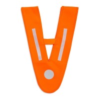 V Band for children and youth